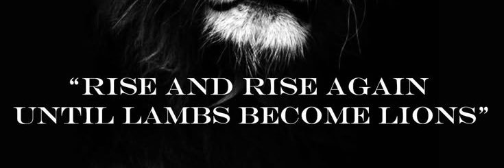 Shane banner
