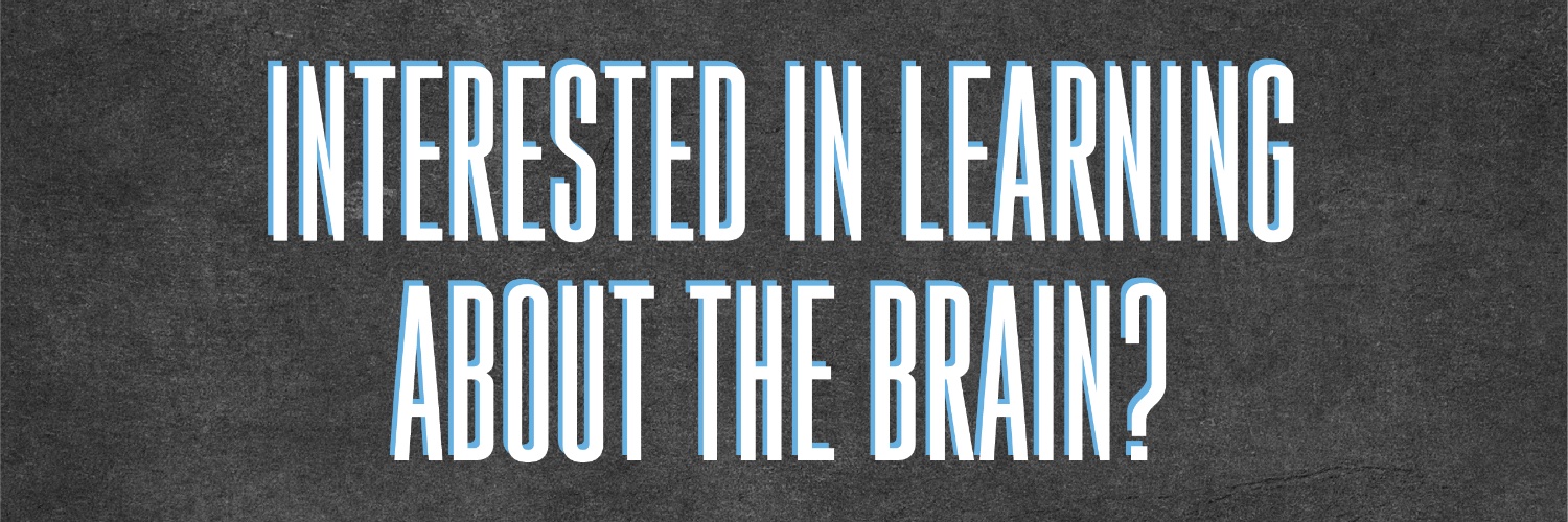 Triangle Brain Bee banner