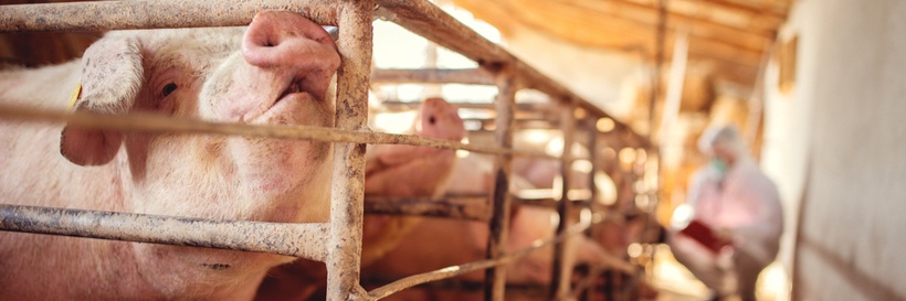 American College of Veterinary Preventive Medicine banner