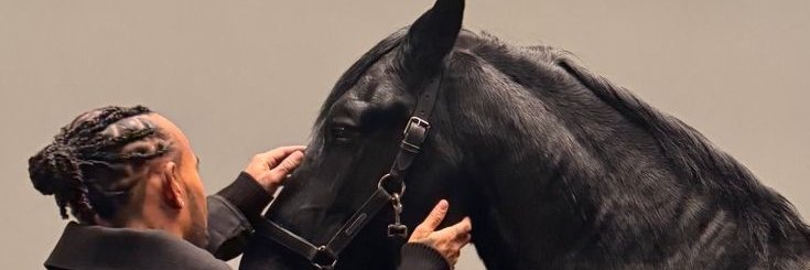 maxiliebe's profile banner image