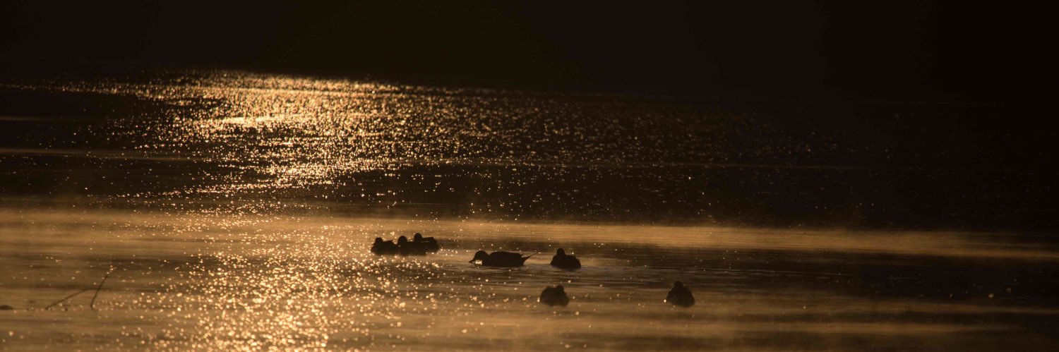 mamiya_work's profile banner image