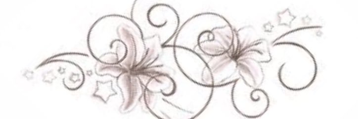 zeze ⊹ ࣪ ˖ banner