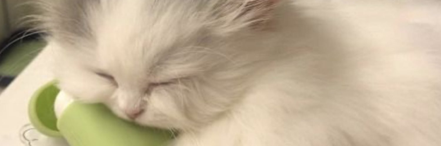 lu*❀⑅*❀ banner