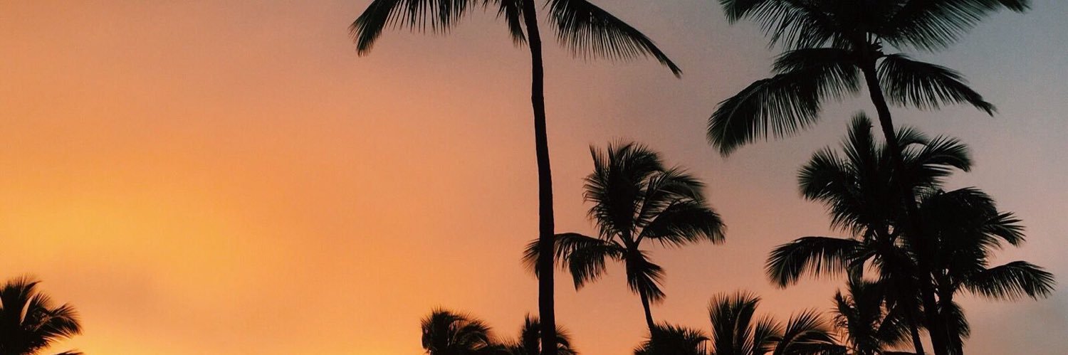 andreabrionees's profile banner image