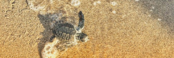 marthg11 Profile Banner