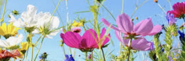 LEAFEd_WM Profile Banner