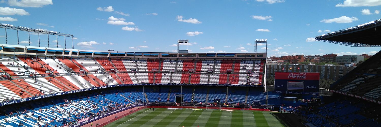 David Alonso🐻🌳 banner