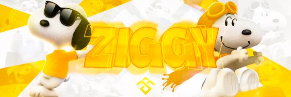 ziggyfnx Profile Banner