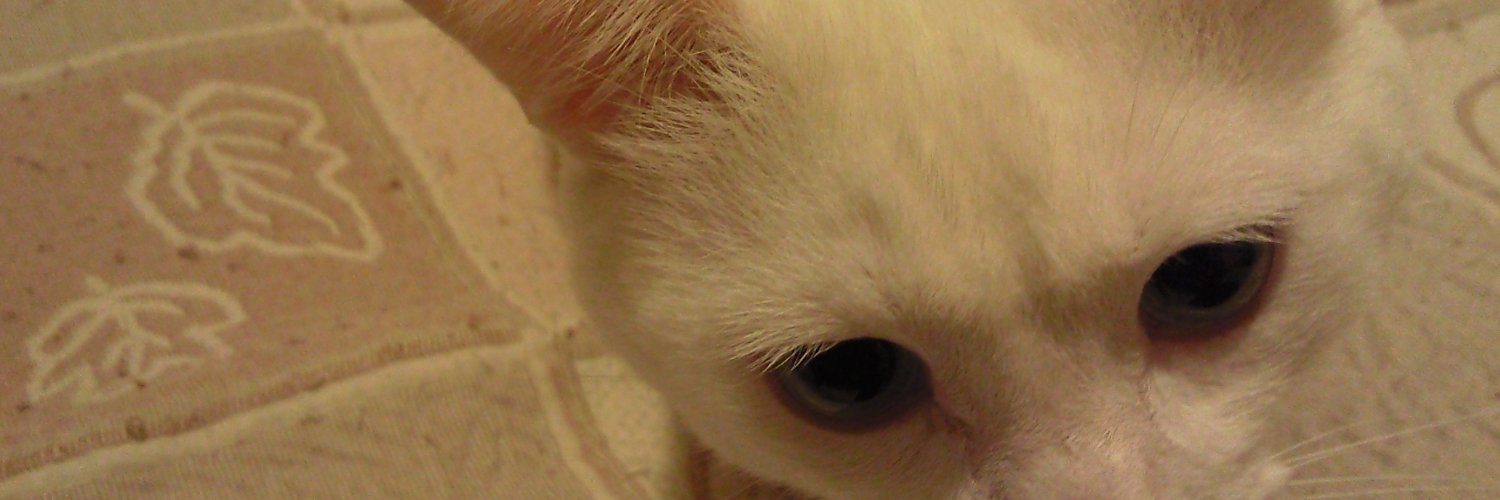 CANDESAND's profile banner image