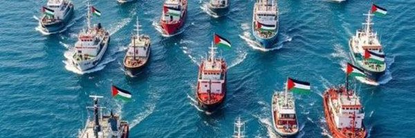 DONJOS23078600 Profile Banner