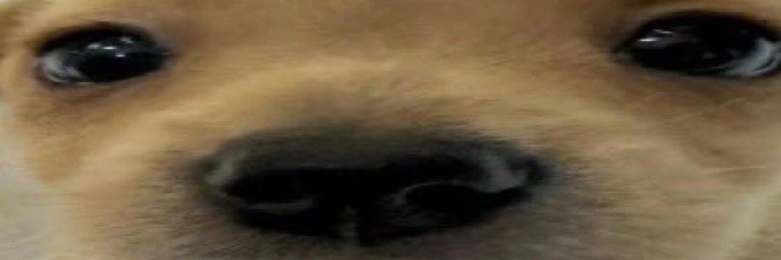 frtzin's profile banner image