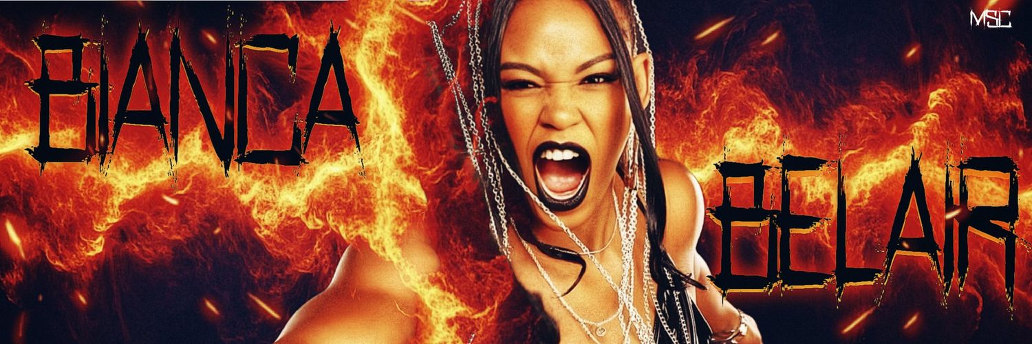 SA Wrestling Fan banner