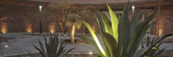 Blanch074's profile banner image