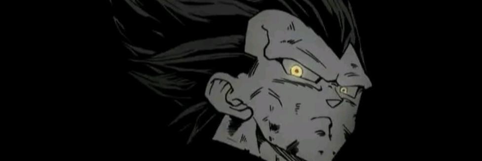 Vegeta_NW🇹🇷🇵🇸 banner