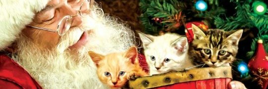 Francesca_runca @Cate Francesca💖😺🐕 ☮🕉☸☯ banner