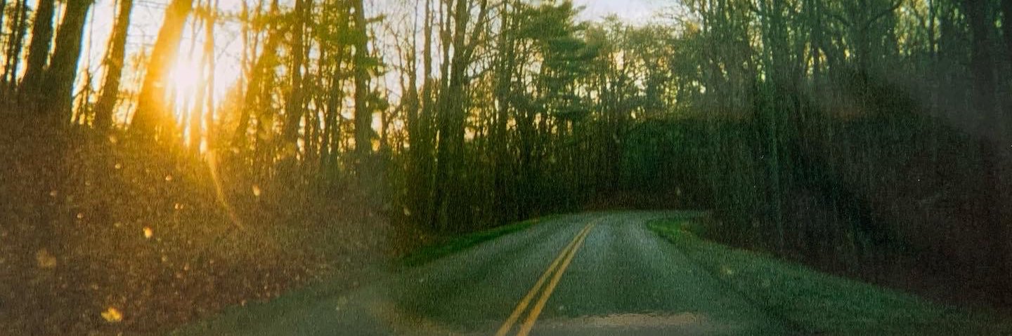 lane banner