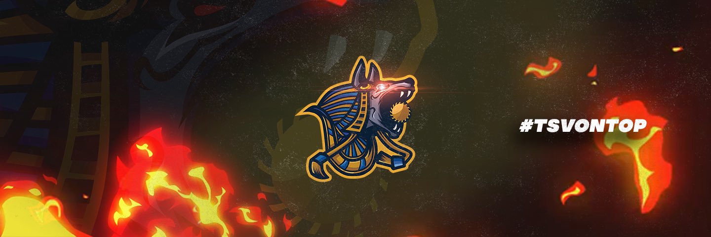 Team Sol Victus banner