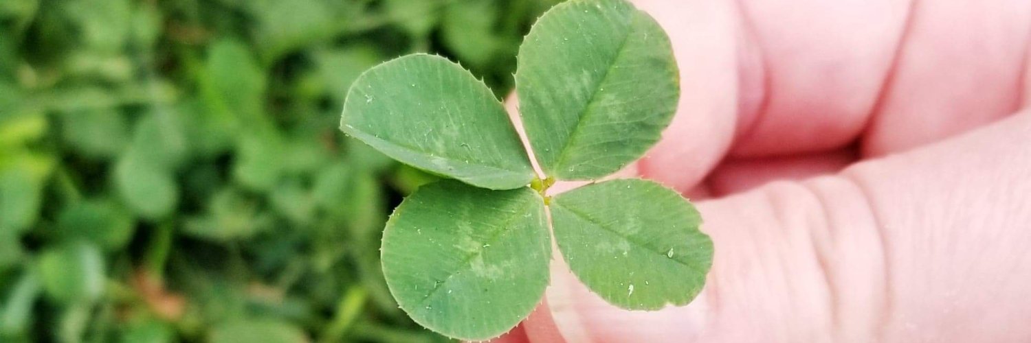 MelissaHed's profile banner image