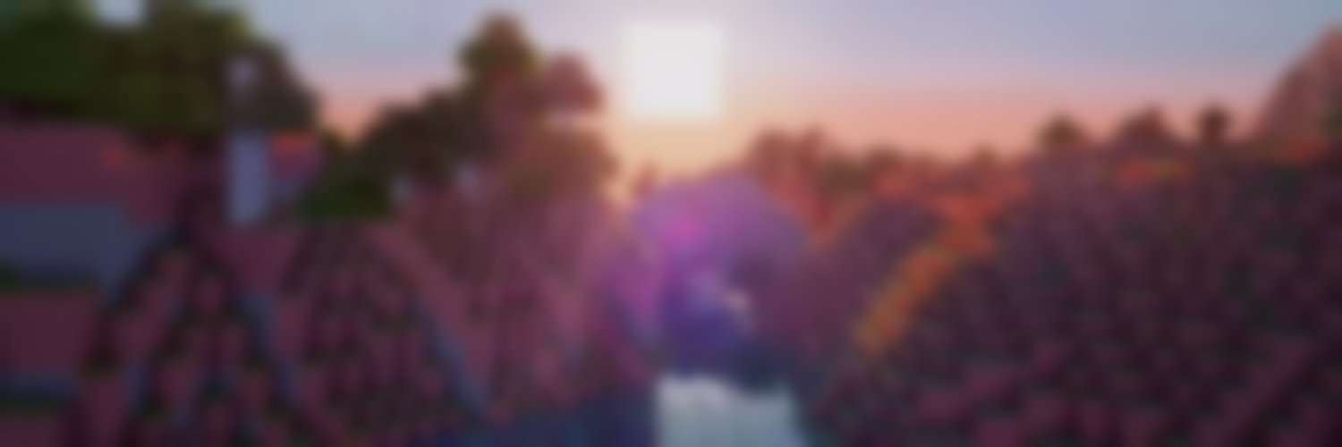 VasiSMP banner