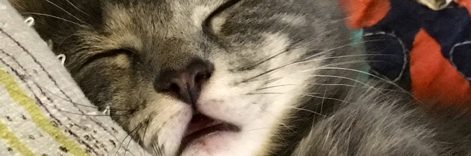 CGidget1699's profile banner image