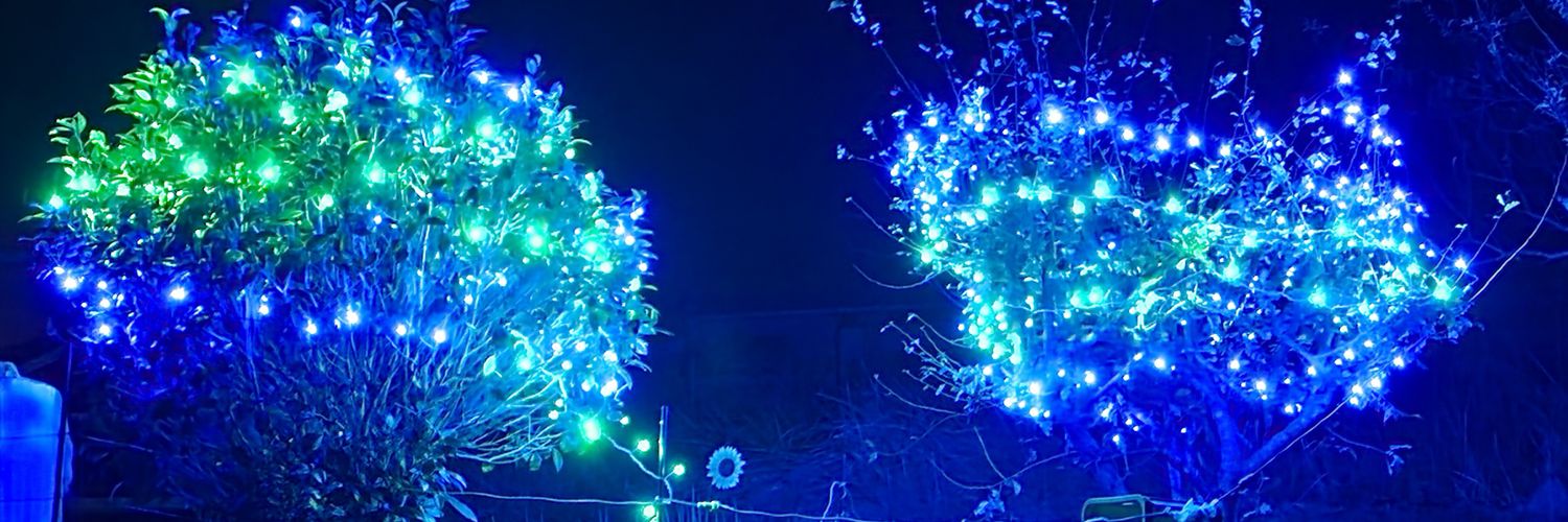 しゃち🧚‍♂️( ▔•ω•▔ )🧚‍♂️ banner