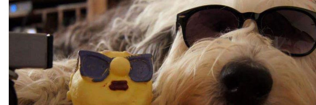 leonor argañaraz banner