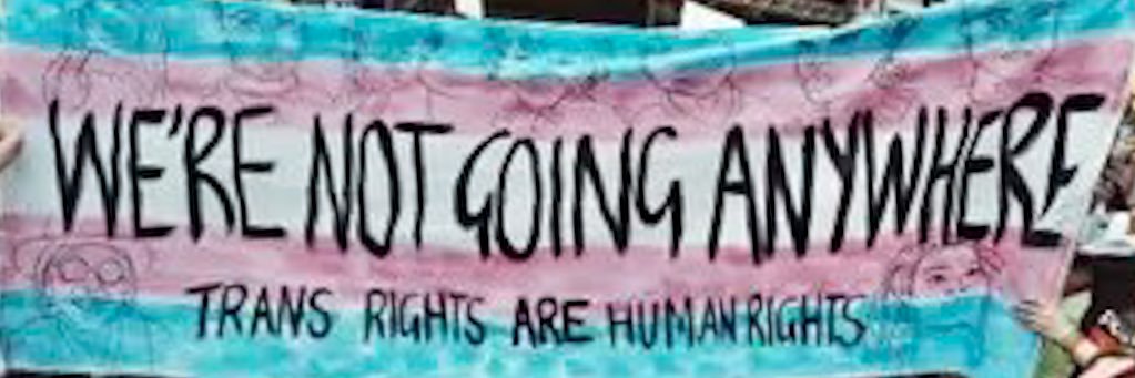 MJ 🐀🏳️‍⚧️🏳️‍🌈 😷💉✡️ banner