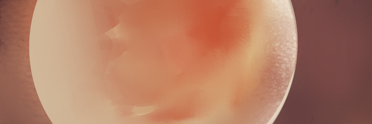 1LostinTransit's profile banner image