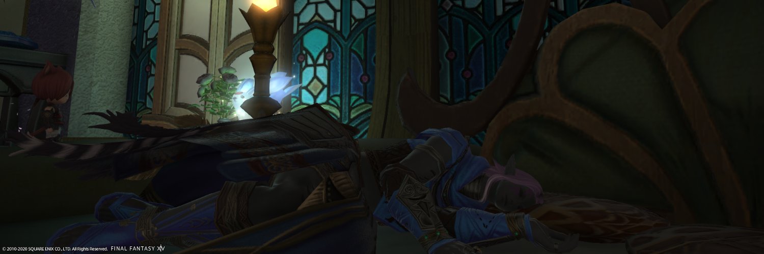 Dragon Fae Library banner