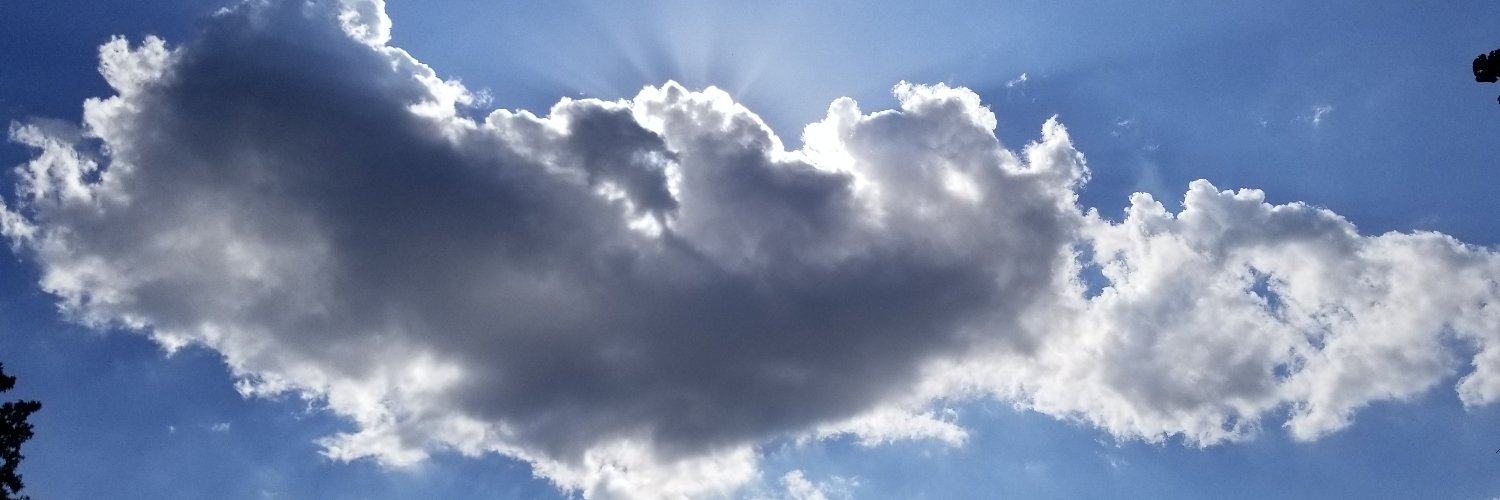 cathylamberth's profile banner image