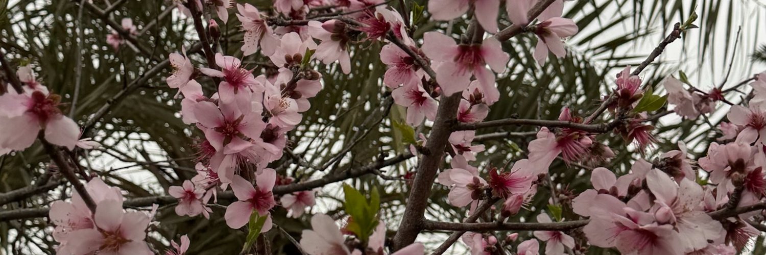 kourtneyrose's profile banner image