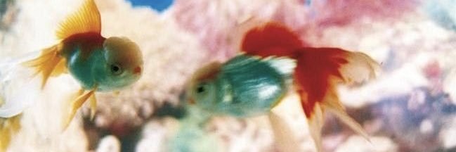 kermssss's profile banner image