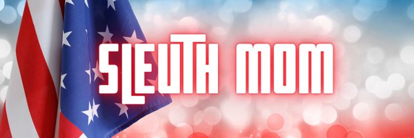 SleuthMom12 Profile Banner