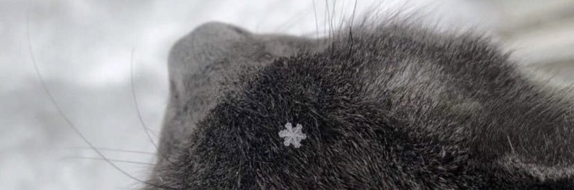 berilakydn's profile banner image