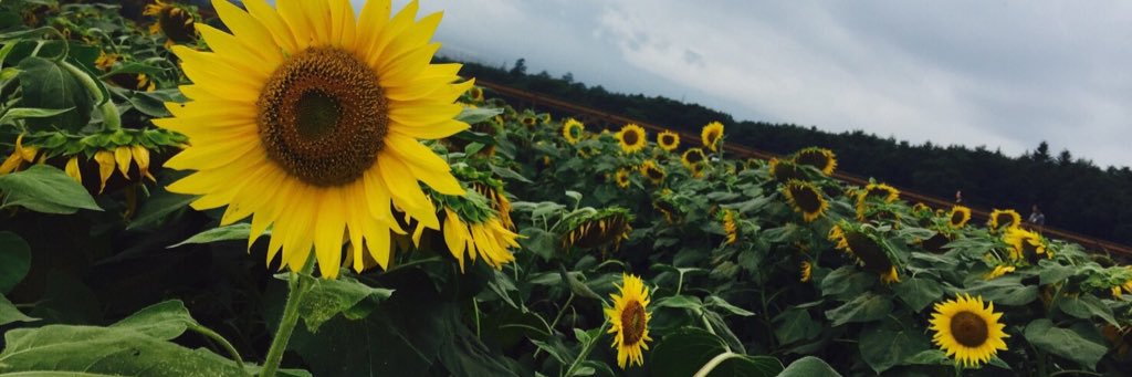 0507Tmk's profile banner image