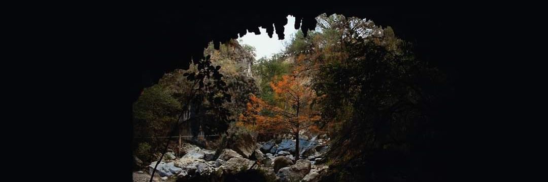 SinFoko Films banner