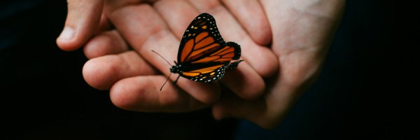 louvrelique Profile Banner