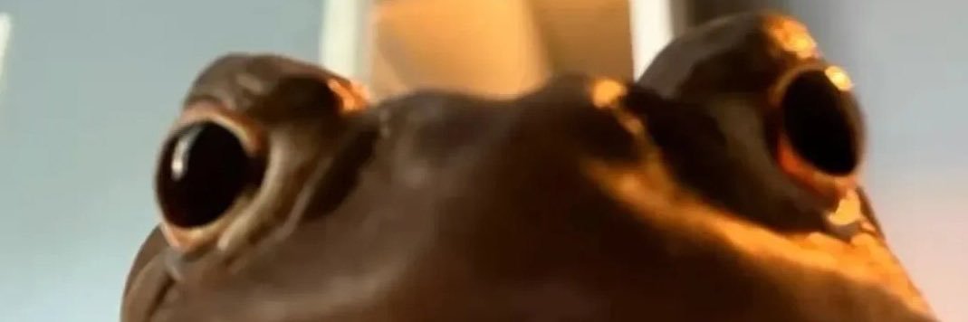 weakanne's profile banner image
