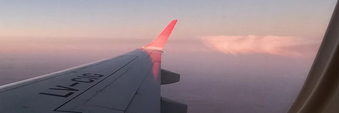 nicobardallo's profile banner image