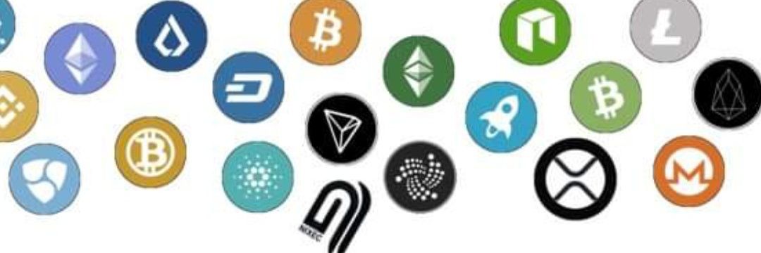 Cryptopromila's profile banner image