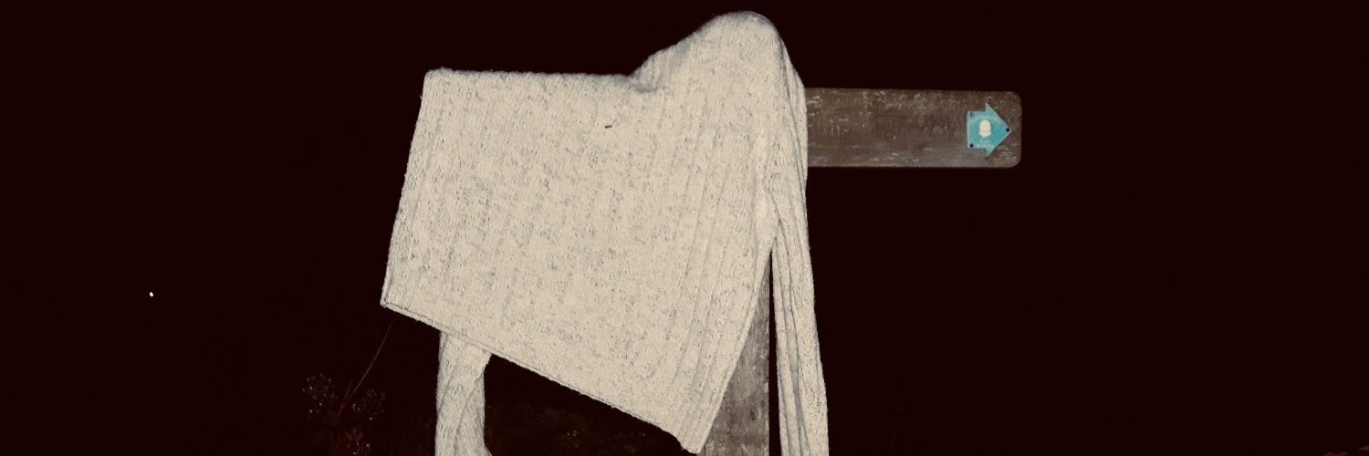 Sarivarga's profile banner image