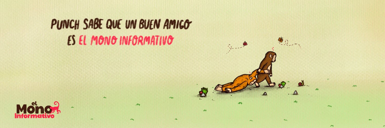 El Mono Informativo 🐒 banner
