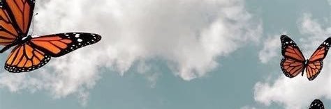 Flor2Roman0's profile banner image