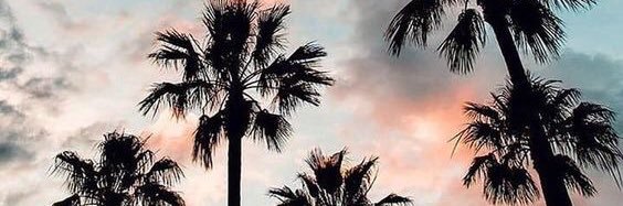 iTebbo's profile banner image
