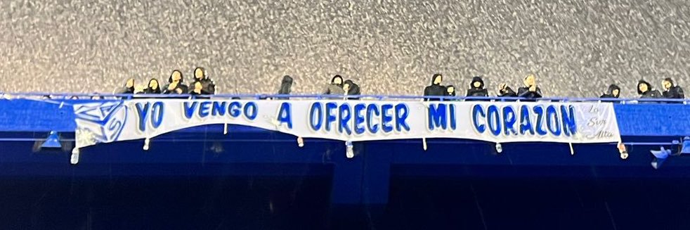 piliicerda's profile banner image