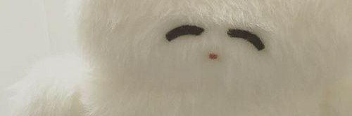 ♡เมเจอร์ |ตามอัพเดตในแท็ก banner