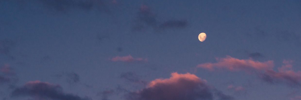 mns_tran's profile banner image