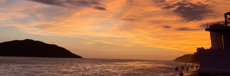annie_e_44's profile banner image