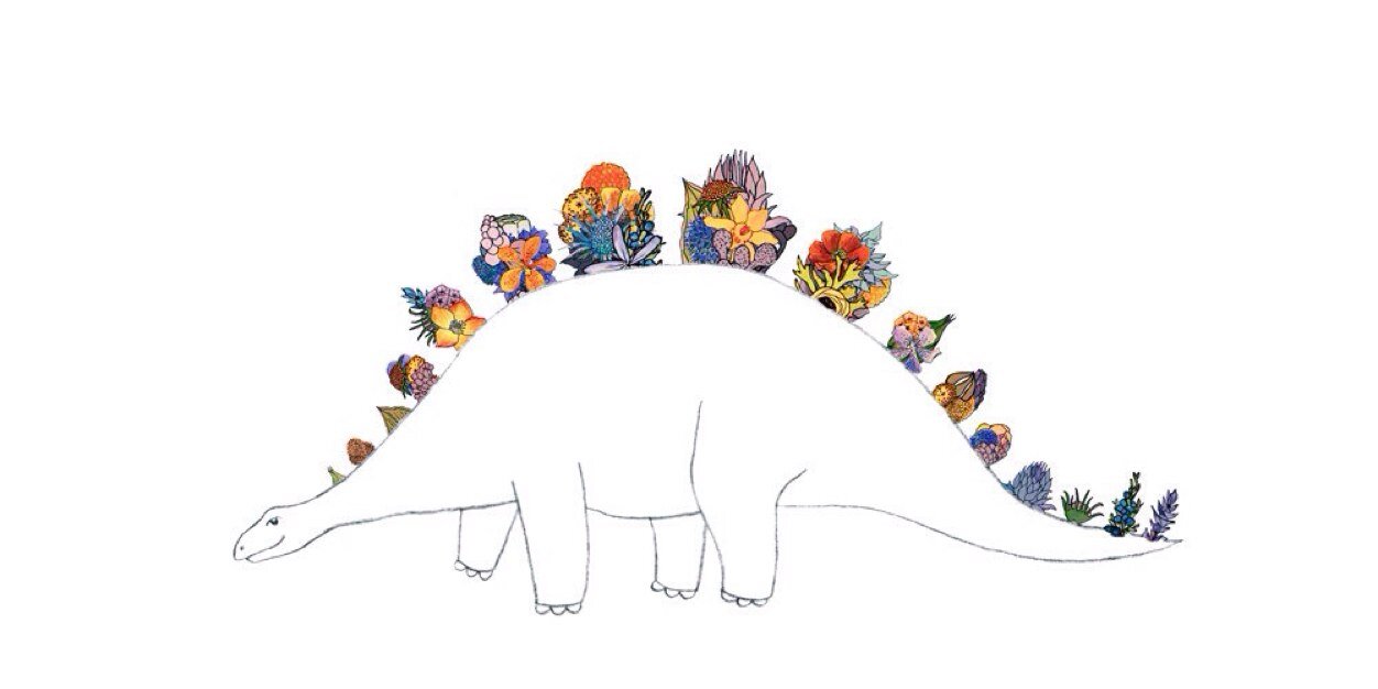 KatersonCook's profile banner image