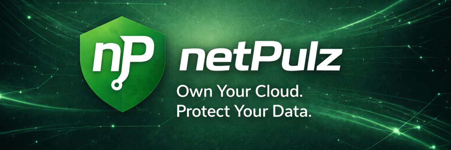 netPulz's profile banner image